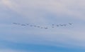 A flock of birds fly south on a blue sky Royalty Free Stock Photo