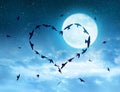 Flock of birds flying in the heart formation at night sky with full moon. Royalty Free Stock Photo