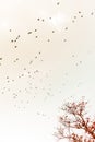 flock of birds flying and leaving tree Royalty Free Stock Photo