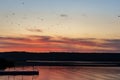 Flock of birds flying over lake in sun direction during at sunset. Beautiful colorful scenic dusk with dramatic sky and seagulls o Royalty Free Stock Photo