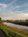 Flock of birds flying over the Mechels Broek nature park in Muizen, Belgium. This marschland is well known for birdwatching. Royalty Free Stock Photo