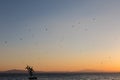 Flock of birds flying over a sculpture on Passignano Trasimeno