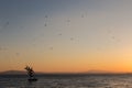 Flock of birds flying over a sculpture on Passignano Trasimeno