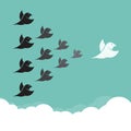 Flock of birds flying in the sky, Royalty Free Stock Photo