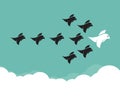 Flock of birds flying in the sky Royalty Free Stock Photo