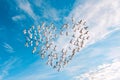 A flock of birds forms a heart shaped pattern in the sky, symbolizing love and unity, Generated AI Royalty Free Stock Photo