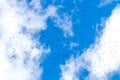 A flock of birds high in the blue sky with white clouds