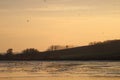 Flock of birds on Hungarian lake at sunset time. Royalty Free Stock Photo