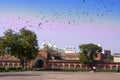 Flock of birds over Red fort. India. Agra Royalty Free Stock Photo