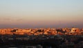 Flock of birds over Rome