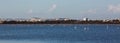 Flock of birds pink flamingo walking on the blue salt lake of Cyprus in the city of Larnaca Royalty Free Stock Photo