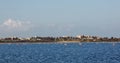 Flock of birds pink flamingo walking on the blue salt lake of Cyprus in the city of Larnaca Royalty Free Stock Photo