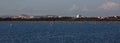 Flock of birds pink flamingo walking on the blue salt lake of Cyprus in the city of Larnaca Royalty Free Stock Photo