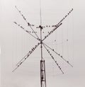 Flock of birds on a radio tower Royalty Free Stock Photo