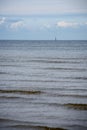 flock of birds resting near water on the beach Royalty Free Stock Photo