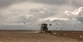 Flock of birds in rice fields and a tractor cultivating rice field , farmer`s rice field Royalty Free Stock Photo