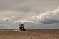 Flock of birds in rice fields and a tractor cultivating rice field , farmer`s rice field Royalty Free Stock Photo