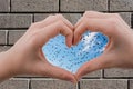 Flock of birds seen behind a heart shaped hand Royalty Free Stock Photo