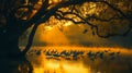 A flock of birds standing in the middle of a lake at sunset Royalty Free Stock Photo
