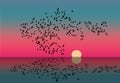 A flock of birds at sunset is reflected in the water of a lake Royalty Free Stock Photo