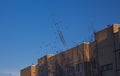 A flock of birds on wires in cold winter