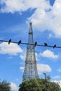 A flock of black birds on a wire Royalty Free Stock Photo