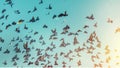 Many Pigeons Fly In A Blue Sky. Freedom Destination Travel Concept