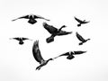 Flock of Canada Geese Made With Generative AI illustration