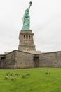 Flock of Canada geese near the Statue of Liberty, Liberty Island Royalty Free Stock Photo