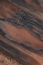 Flock of common crane Grus grus birds resting near the pond during springtime migration, aerial Royalty Free Stock Photo