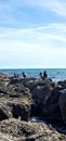 flock of cormorants sitting on the rocks Royalty Free Stock Photo