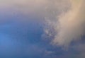 Flock of crows flies before a thunderstorm in a blue sky among the dark clouds Royalty Free Stock Photo