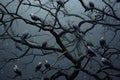 Flock of crows sitting on a tree branch in the rain