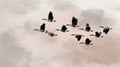 Canada Geese Flock Flying in V Formation Across Cloudy Sky Royalty Free Stock Photo