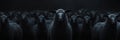 Flock of Dark Sheep Standing Together Royalty Free Stock Photo
