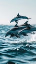 A flock of dolphins frolicking in the ocean waves jumps above the surface of the water