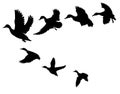 Flock of ducks. A cartoon flock of birds. Vector illustration of flying birds. Drawing for children. Royalty Free Stock Photo