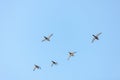 Flock of ducks in flight