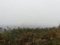 Flock of ducks flying above river, foggy autumn morning outdoor. Royalty Free Stock Photo