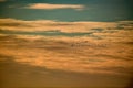 Ducks in the SKY - San Luis NWR, Los Banos