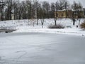 Flock of ducks flying winter day Royalty Free Stock Photo