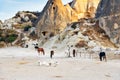 Flock of ducks and horses on cave houses background. Goreme. Cappadocia. Turkey
