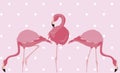 flock of elegant flamingos birds dotted background Royalty Free Stock Photo