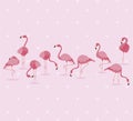 flock of elegant flamingos birds dotted background Royalty Free Stock Photo