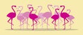 Flock of flamingos isolated, flat vector stock illustration with pink exotic birds, animals on yellow background Royalty Free Stock Photo