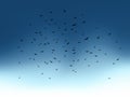 Flock of flying birds on blue sky. Vector