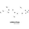 A flock of flying birds silhouette. Vector illustration Royalty Free Stock Photo