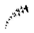 A flock of flying birds silhouette. Vector illustration Royalty Free Stock Photo