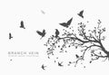 Flock of flying birds on tree branch tree Royalty Free Stock Photo