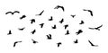 Flock of flying birds. Vector silhouette birds, stock illustration